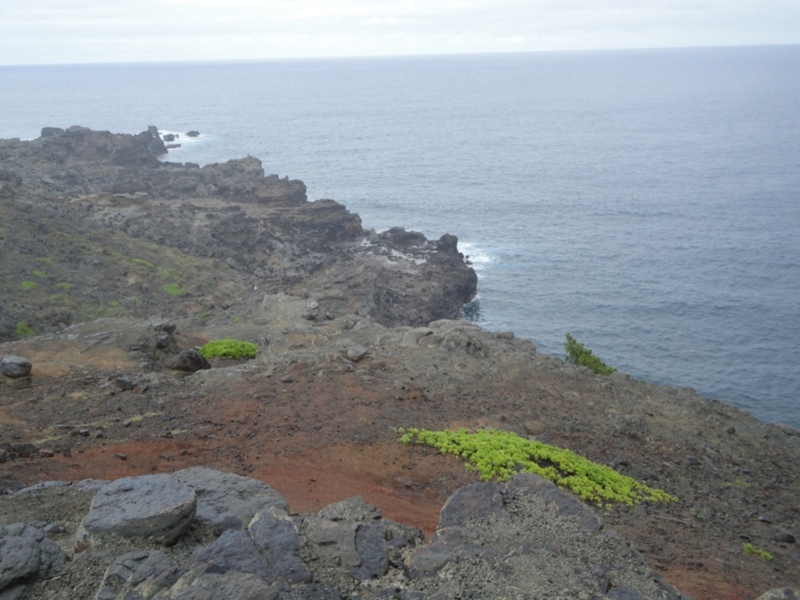 Blow Hole ?