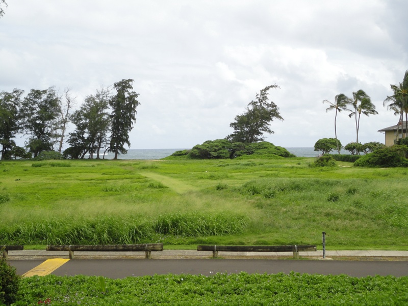 Blick von unserer neuen Unterkunft - Plantation Hale
