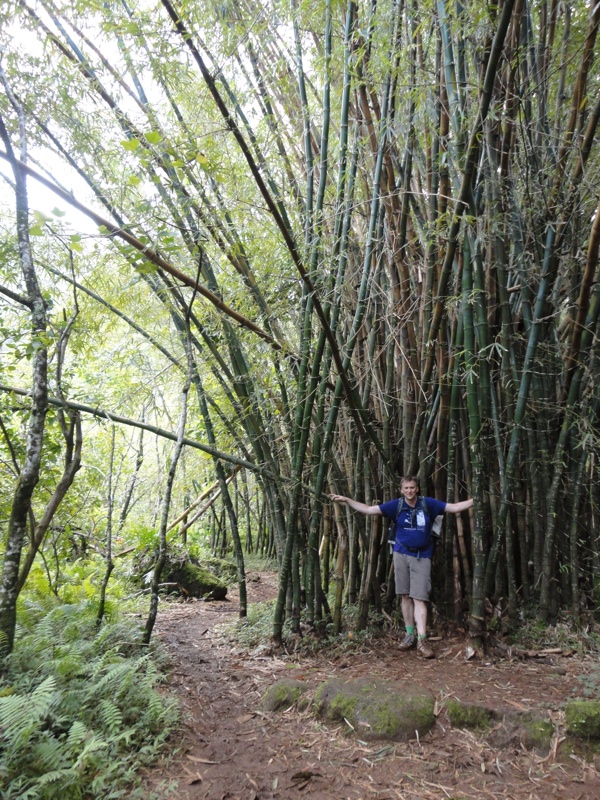 Auf dem Weg zum Wasserfall