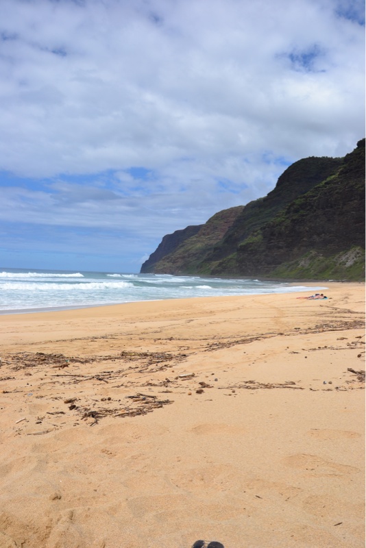 Ziemlich viel los ....