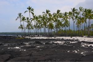 Einfach nur tropisch