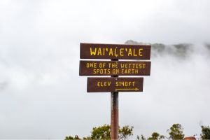 Ja, ja ganz schön feuchte Angelegenheit