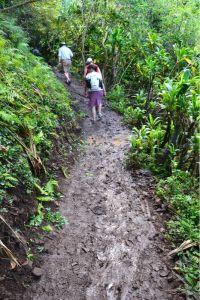 Matschige Angelegenheit