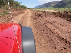 Das ist doch mal ein cooler Weg zum Strand