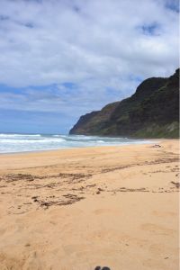 Ziemlich viel los ....