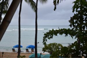 Hawaii weint - weil wir heute abreisen :-(