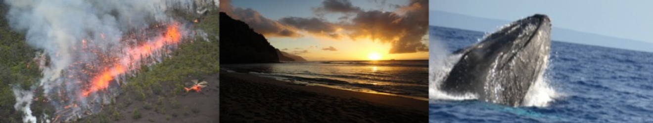 Hawaii Urlaub 2011